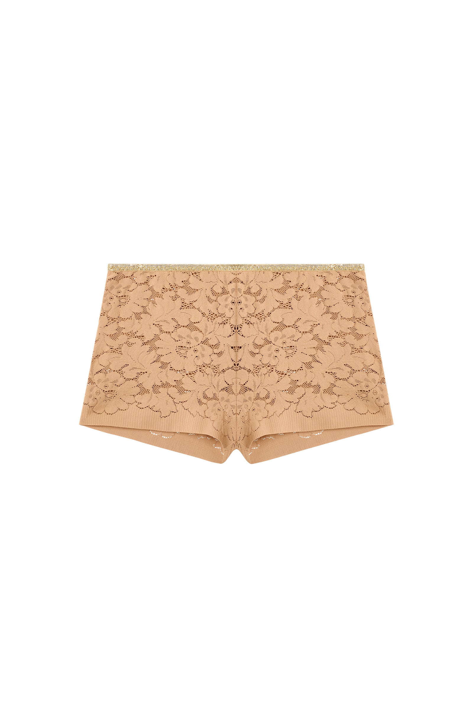 dylan - biscuit - Image 5